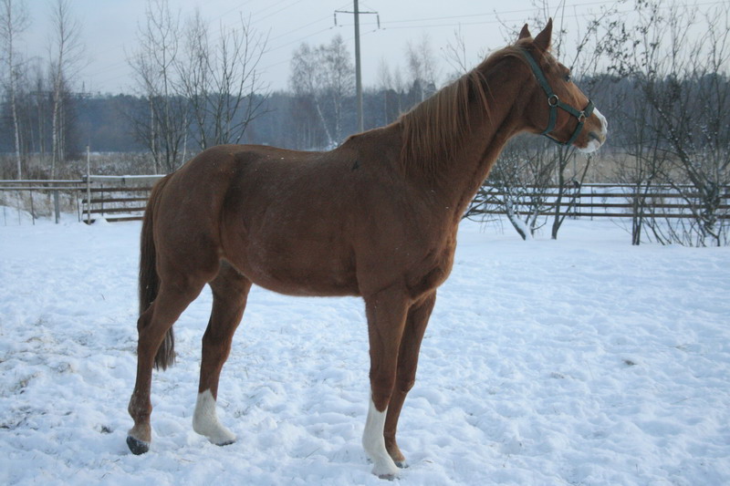 IMG_1613.jpg1.jpg"%20height="533"%20width="800